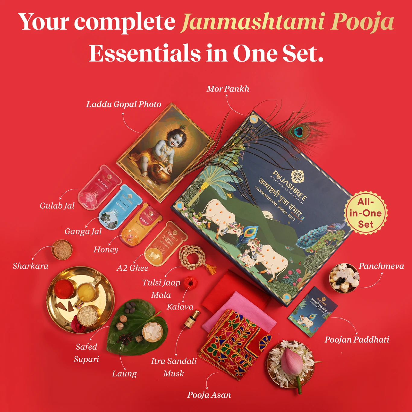 Krishna Janmashtami Pooja Kit